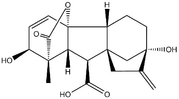 赤霉素GIBBERELLIC ACID，居然有這么神奇？